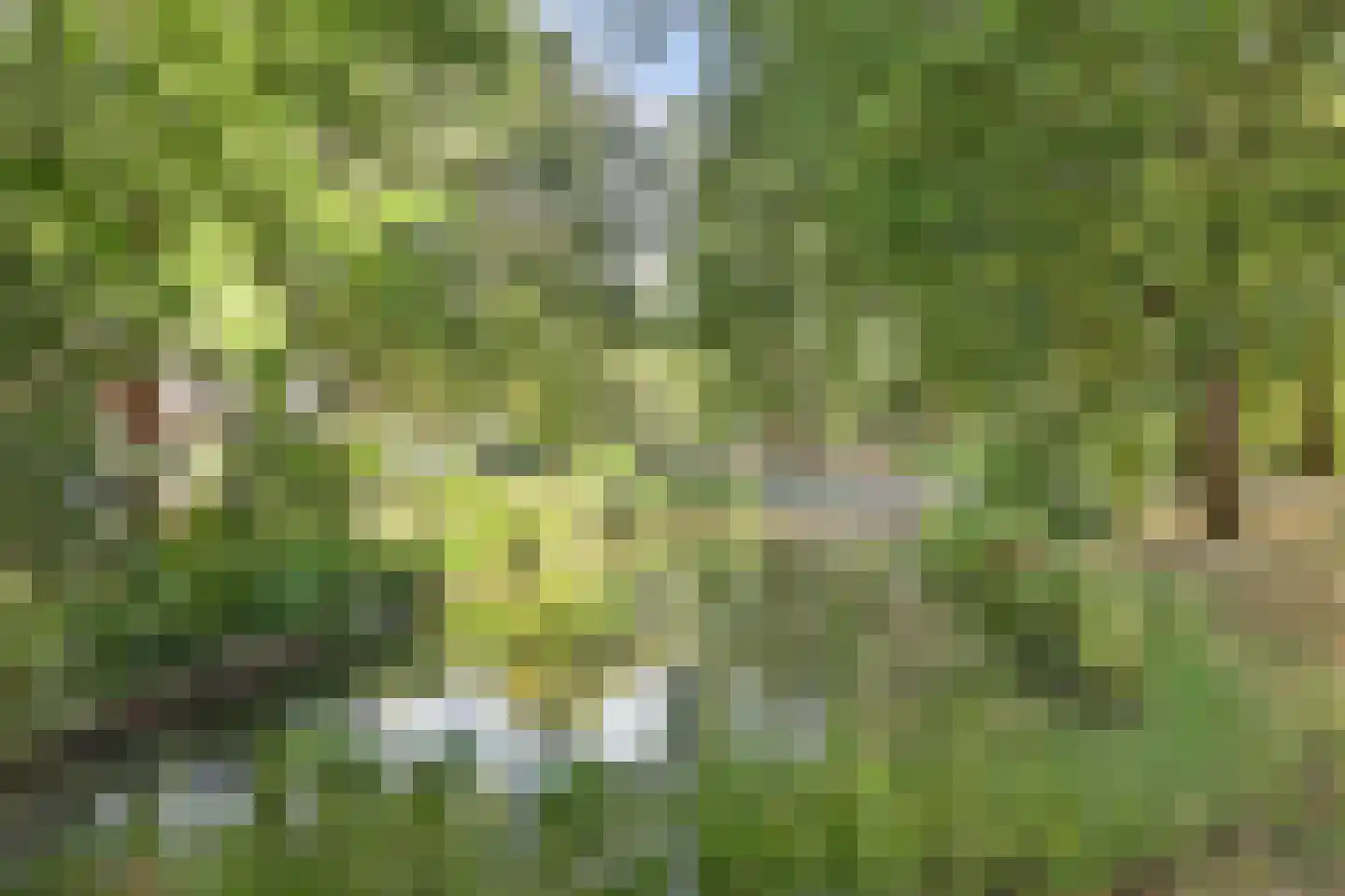 Mispelgaarde 15 Nieuwegein thumbnail 49