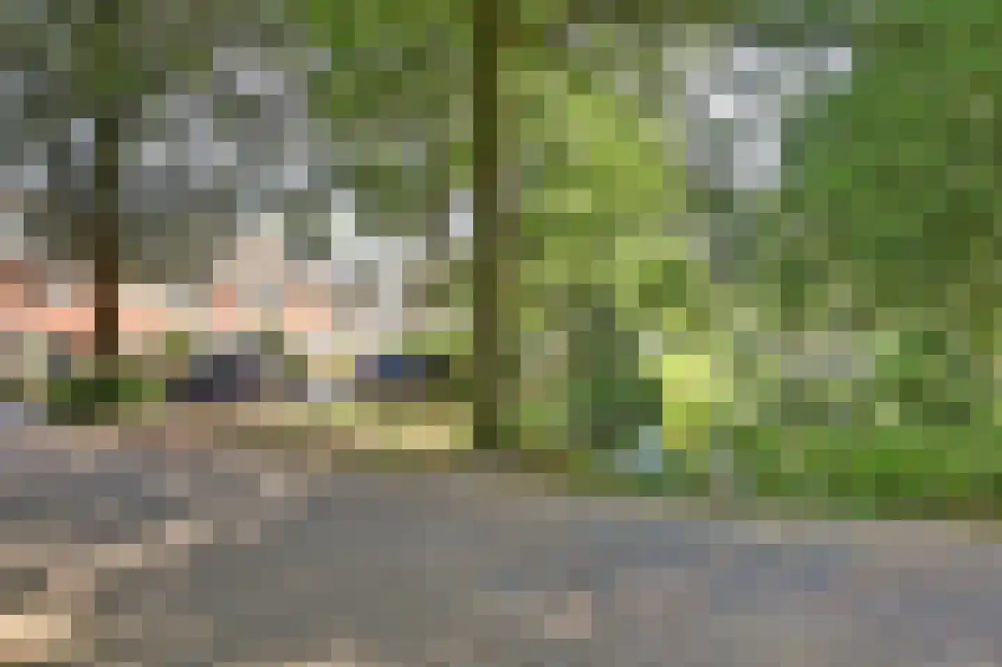 Mispelgaarde 15 Nieuwegein thumbnail 50