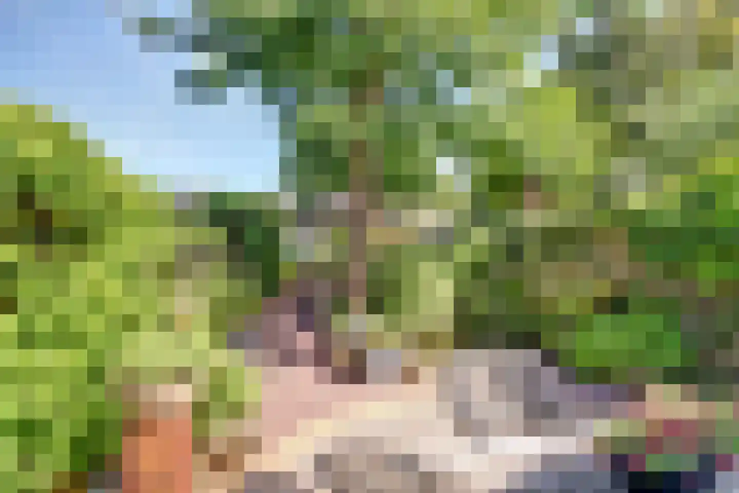 Mispelgaarde 15 Nieuwegein thumbnail 8