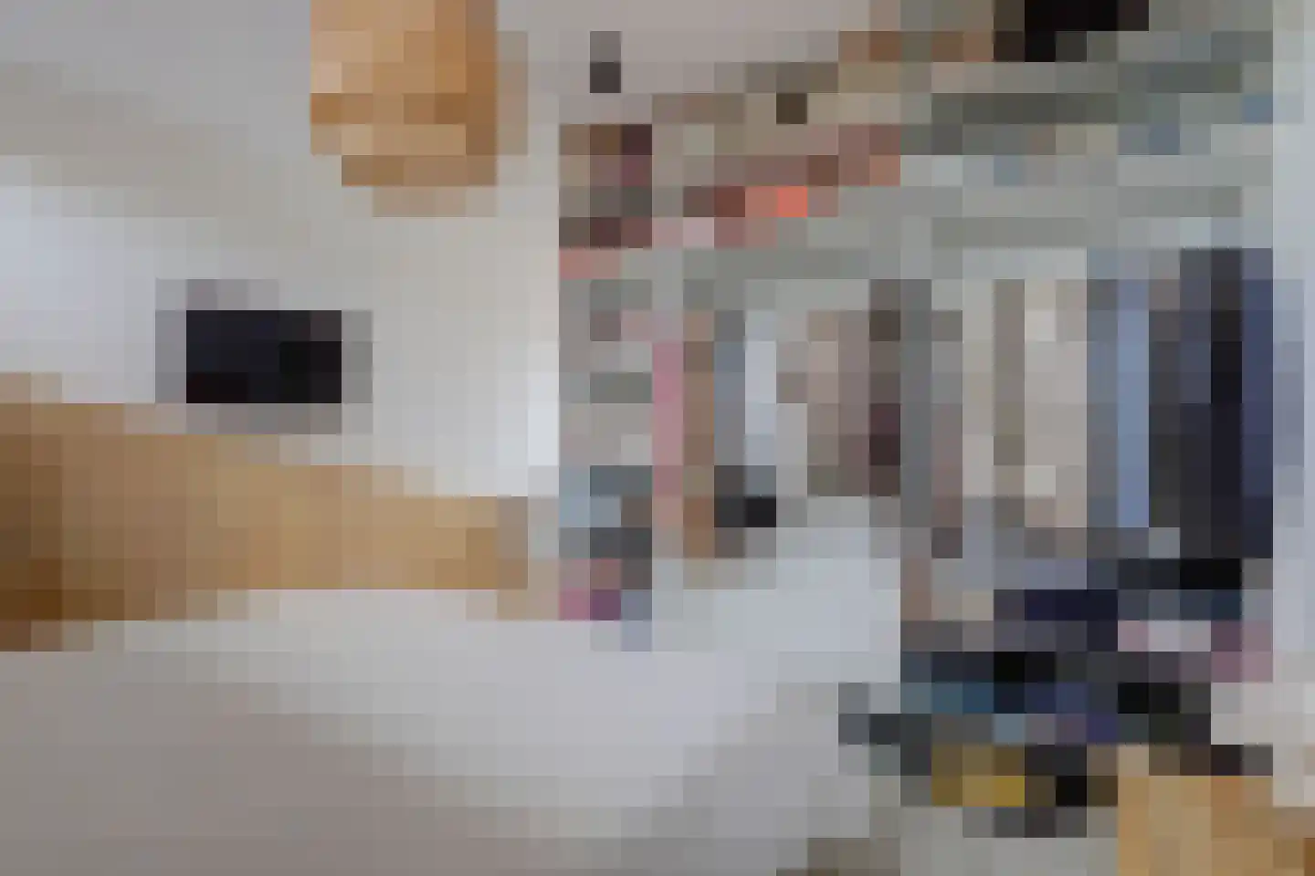 Mispelgaarde 16 Hendrik-Ido-Ambacht thumbnail 32