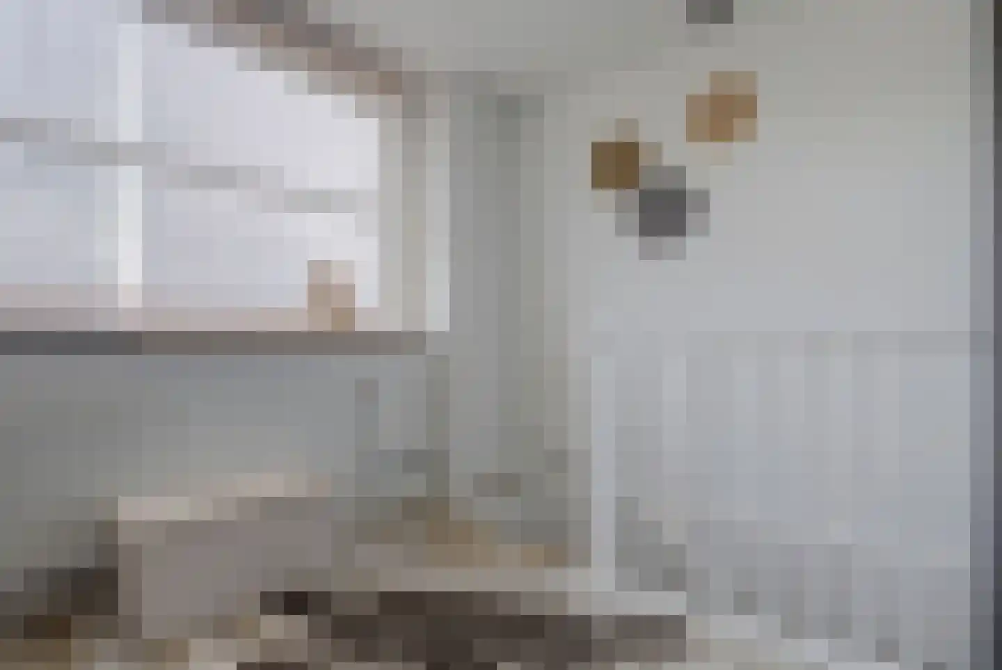 Mispelgaarde 16 Hendrik-Ido-Ambacht thumbnail 33