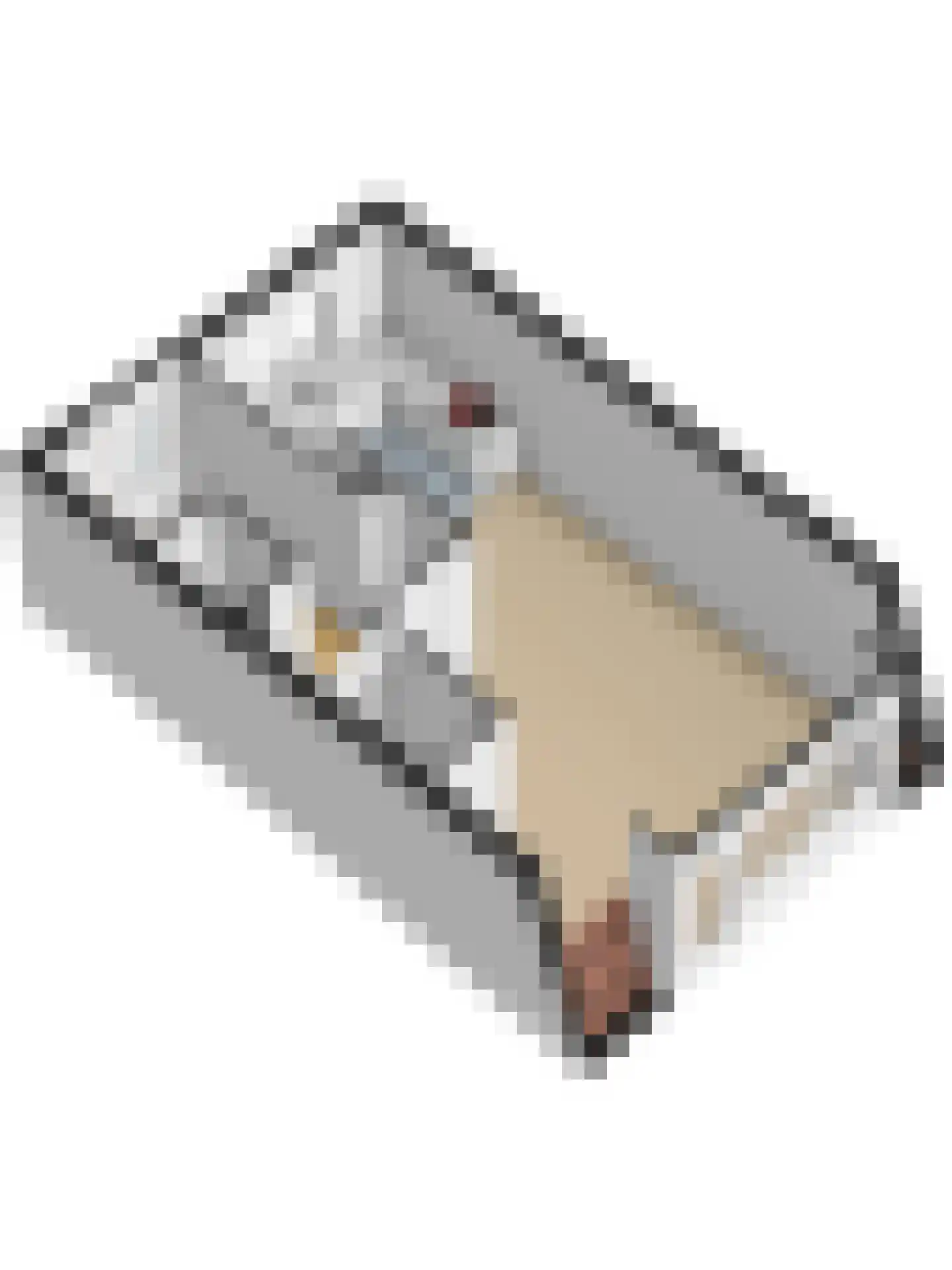 Mispelgaarde 16 Hendrik-Ido-Ambacht thumbnail 48