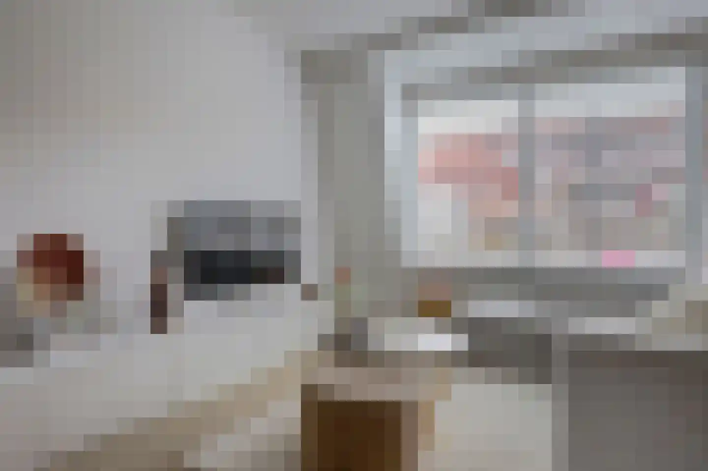 Mispelgaarde 16 Hendrik-Ido-Ambacht thumbnail 7