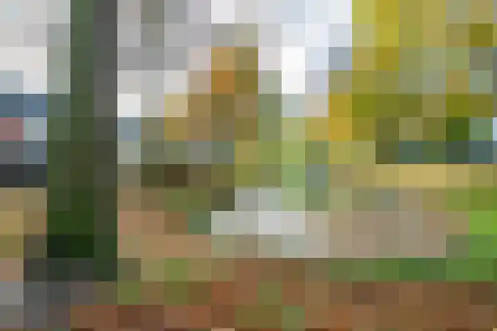 Mispelgaarde 19 Nieuwegein thumbnail 42