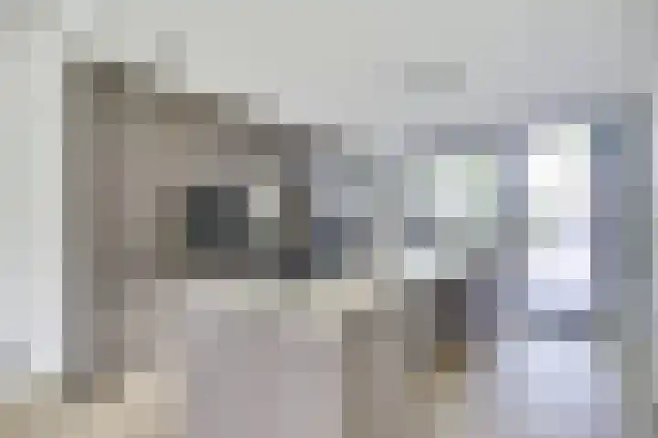 Mispelgaarde 19 Nieuwegein thumbnail 6