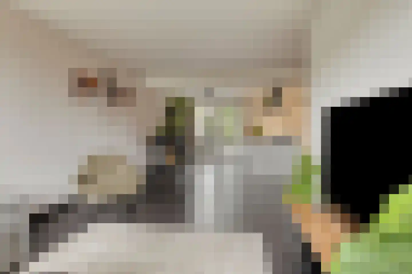 Mispelgaarde 2 Dongen thumbnail 12