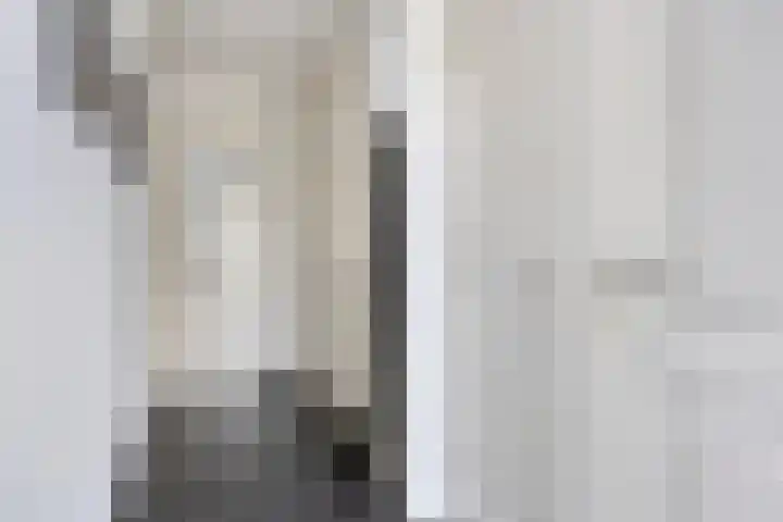 Mispelgaarde 2 Dongen thumbnail 12