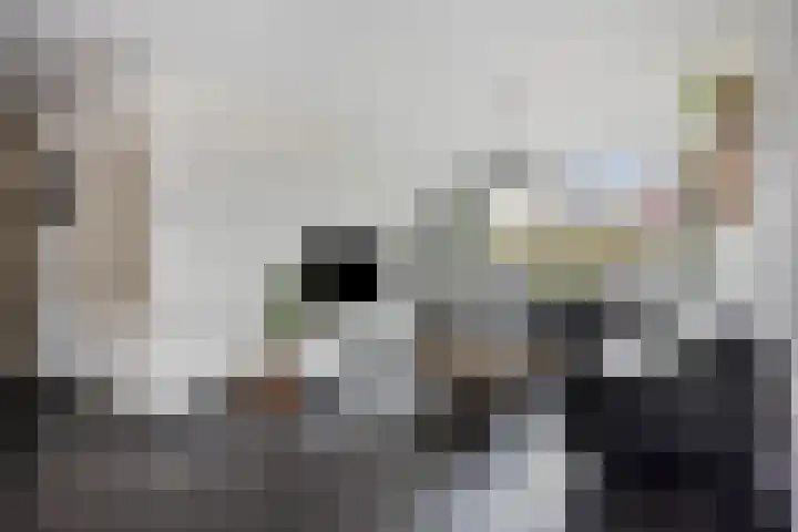 Mispelgaarde 2 Dongen thumbnail 14