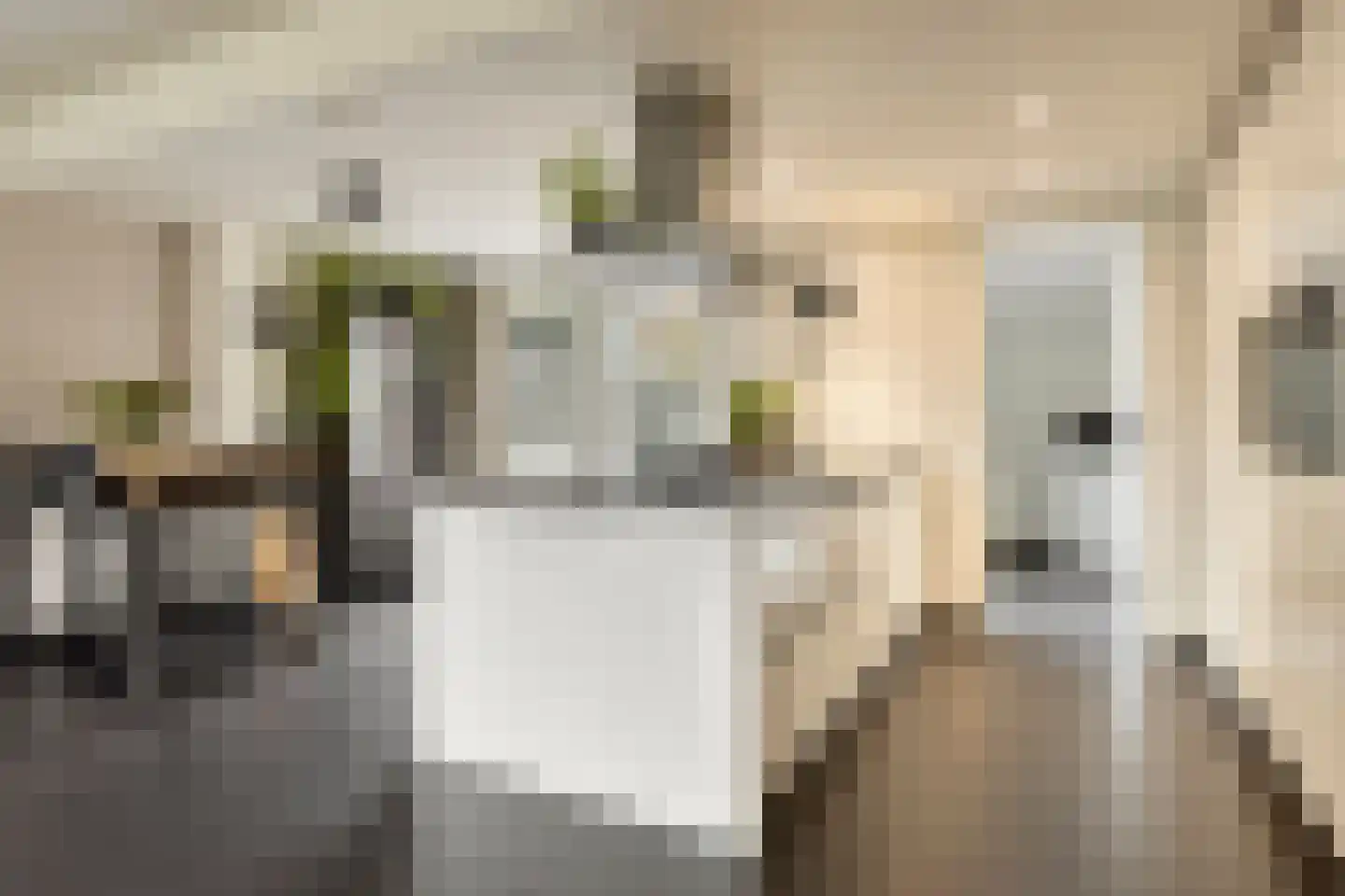 Mispelgaarde 2 Dongen thumbnail 15