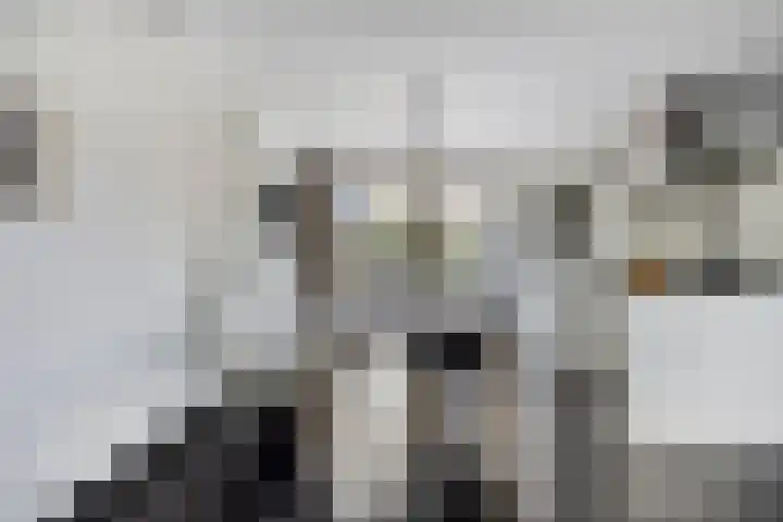 Mispelgaarde 2 Dongen thumbnail 17