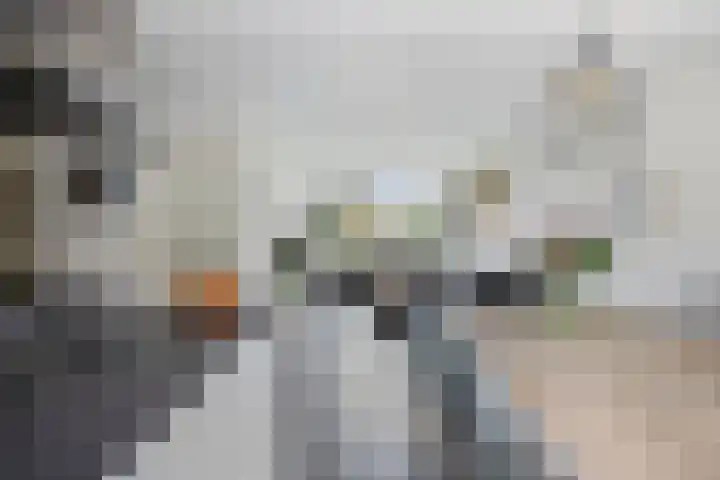 Mispelgaarde 2 Dongen thumbnail 18