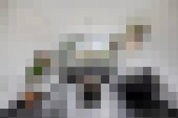 Mispelgaarde 2 Dongen foto 2