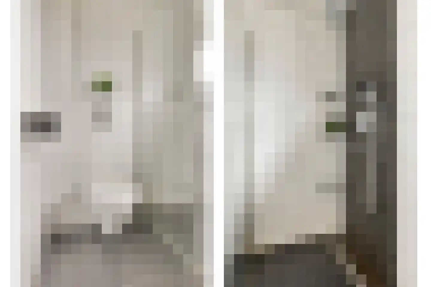 Mispelgaarde 2 Dongen thumbnail 20