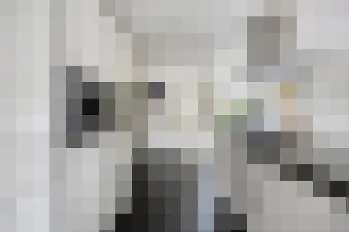 Mispelgaarde 2 Dongen thumbnail 23
