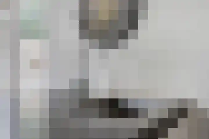 Mispelgaarde 2 Dongen thumbnail 25
