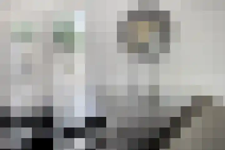Mispelgaarde 2 Dongen thumbnail 26