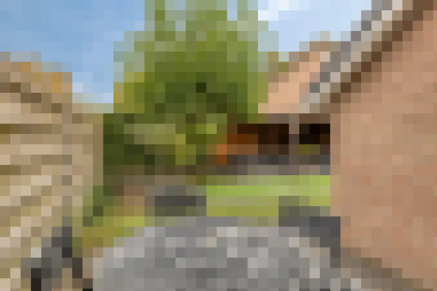 Mispelgaarde 2 Dongen thumbnail 27