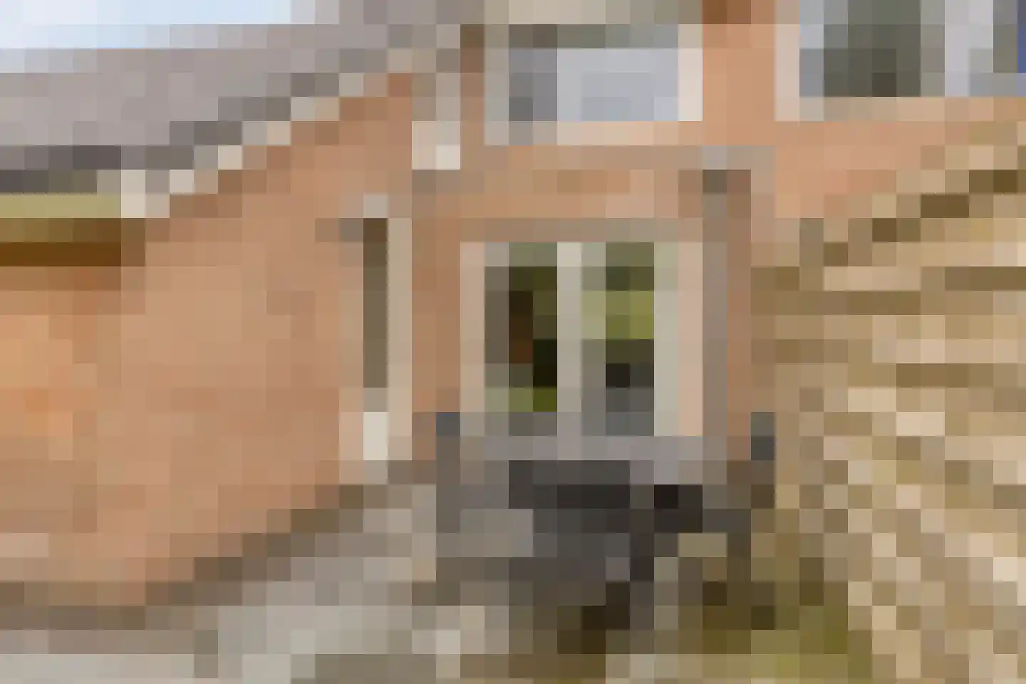 Mispelgaarde 2 Dongen thumbnail 28