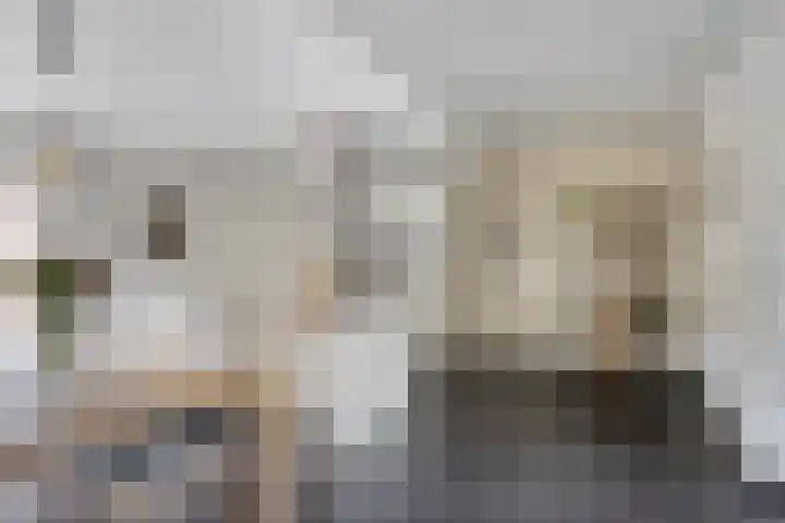 Mispelgaarde 2 Dongen foto 3