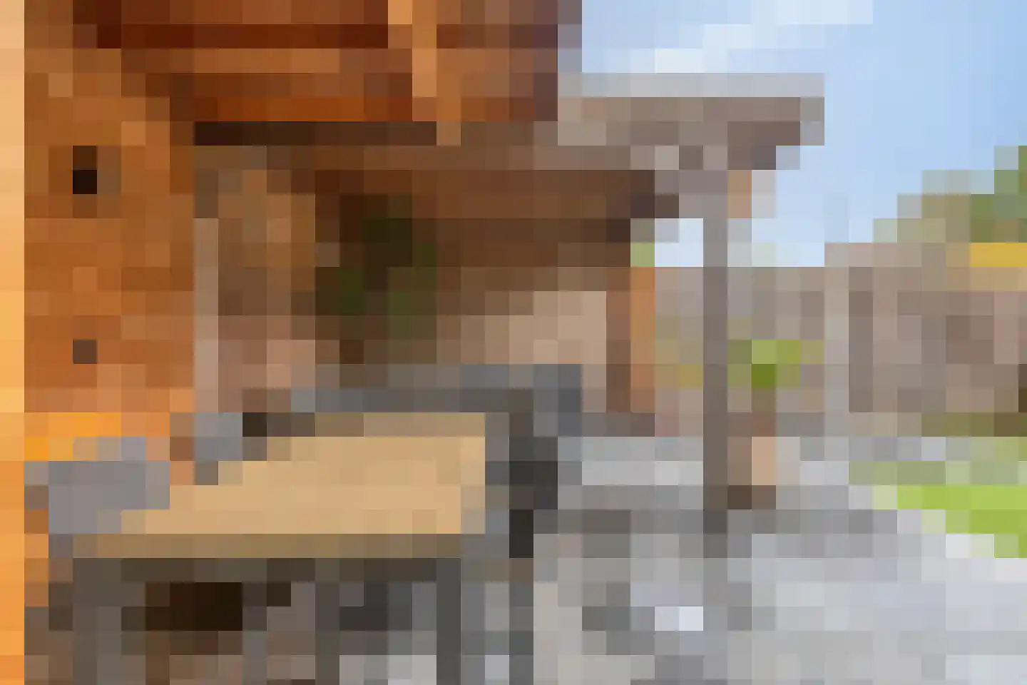 Mispelgaarde 2 Dongen thumbnail 30