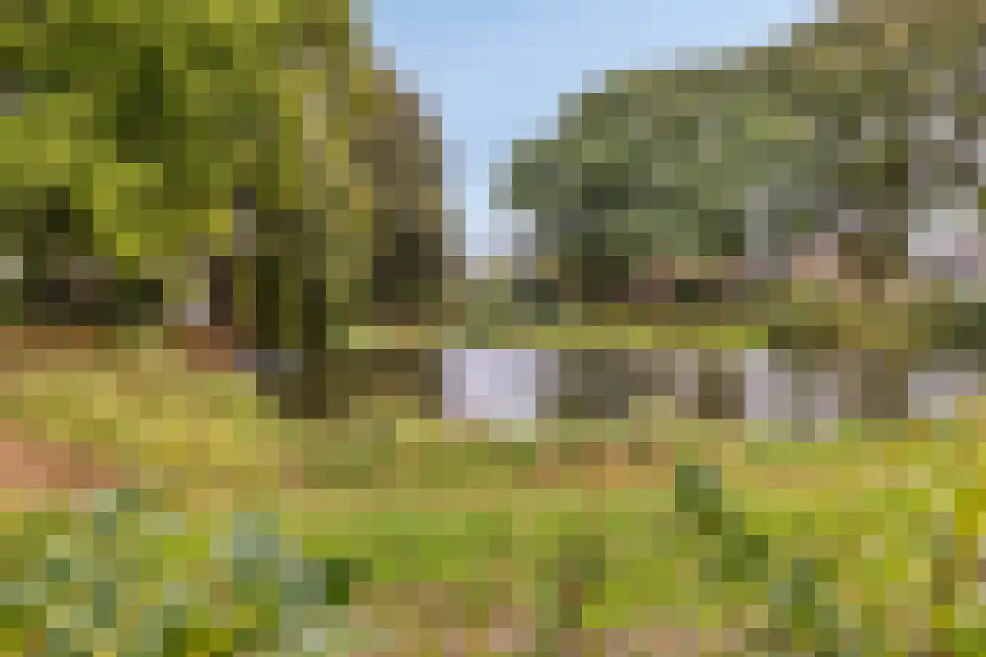 Mispelgaarde 2 Dongen thumbnail 33
