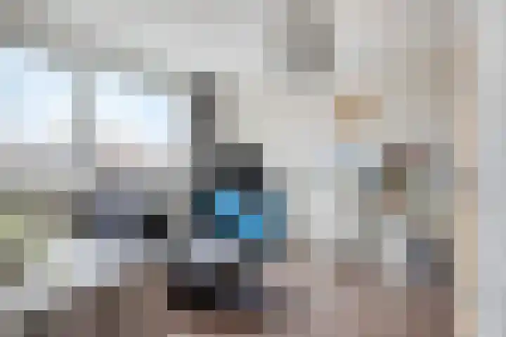 Mispelgaarde 2 Dongen thumbnail 35