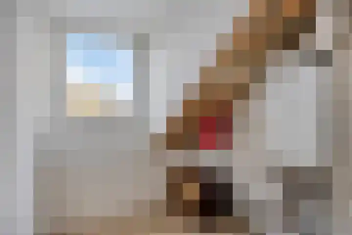 Mispelgaarde 2 Dongen thumbnail 43