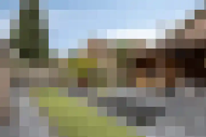 Mispelgaarde 2 Dongen thumbnail 45