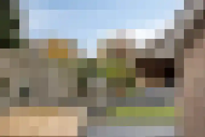 Mispelgaarde 2 Dongen thumbnail 47