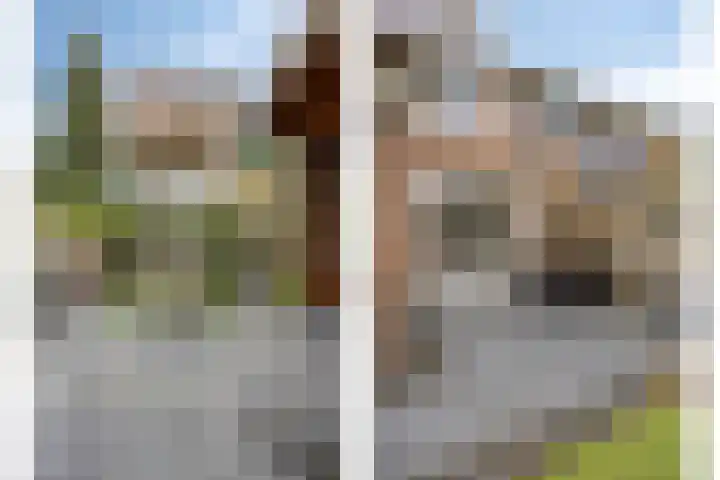 Mispelgaarde 2 Dongen thumbnail 48