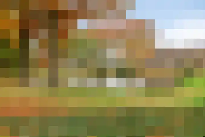 Mispelgaarde 2 Dongen thumbnail 57