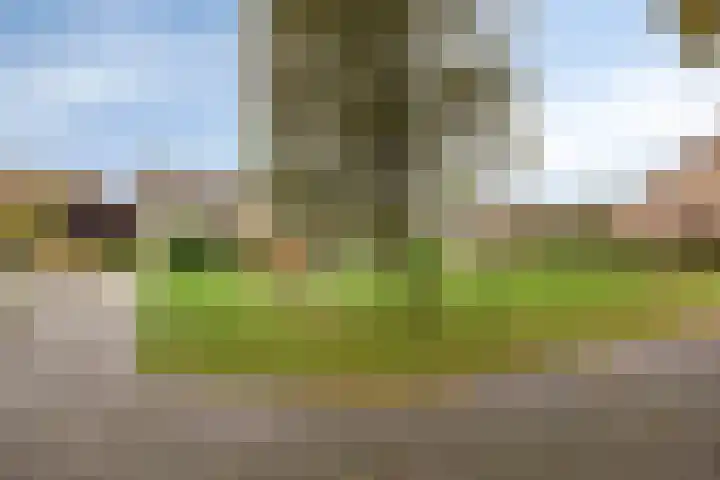 Mispelgaarde 2 Dongen thumbnail 58