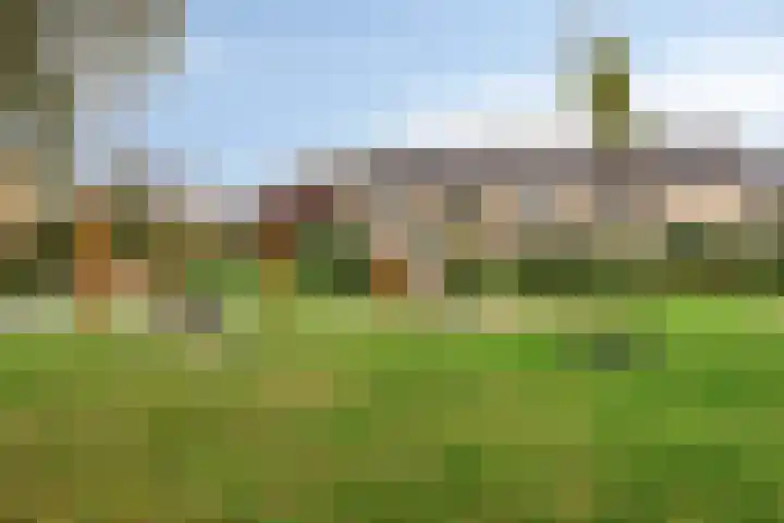 Mispelgaarde 2 Dongen thumbnail 59
