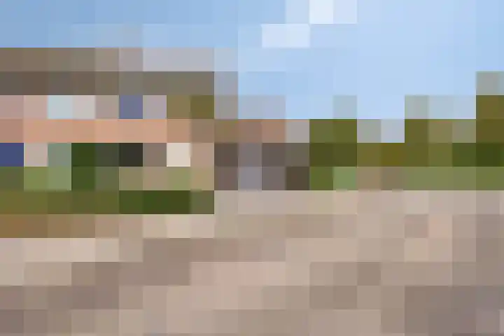 Mispelgaarde 2 Dongen thumbnail 7