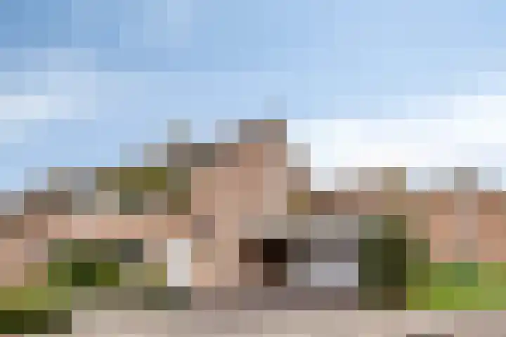 Mispelgaarde 2 Dongen thumbnail 8