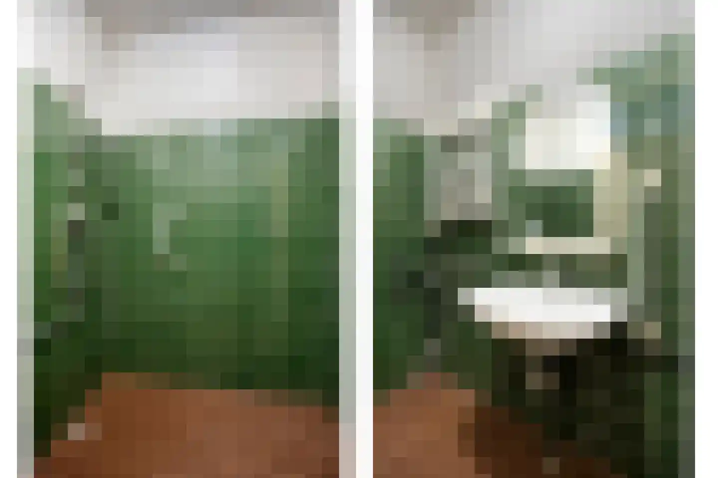 Mispelgaarde 2 Zoetermeer thumbnail 21