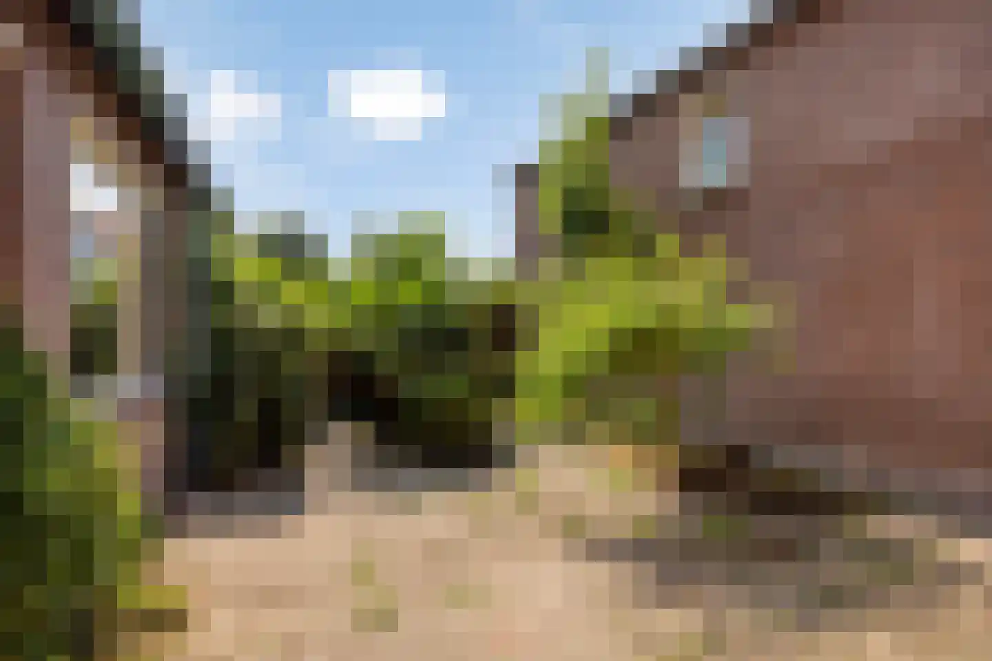 Mispelgaarde 2 Zoetermeer thumbnail 26