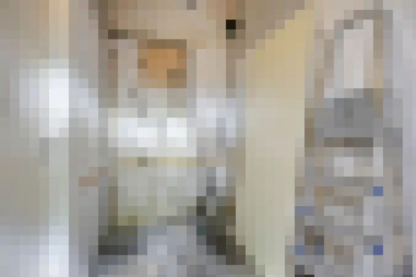 Mispelgaarde 2 Zoetermeer thumbnail 30