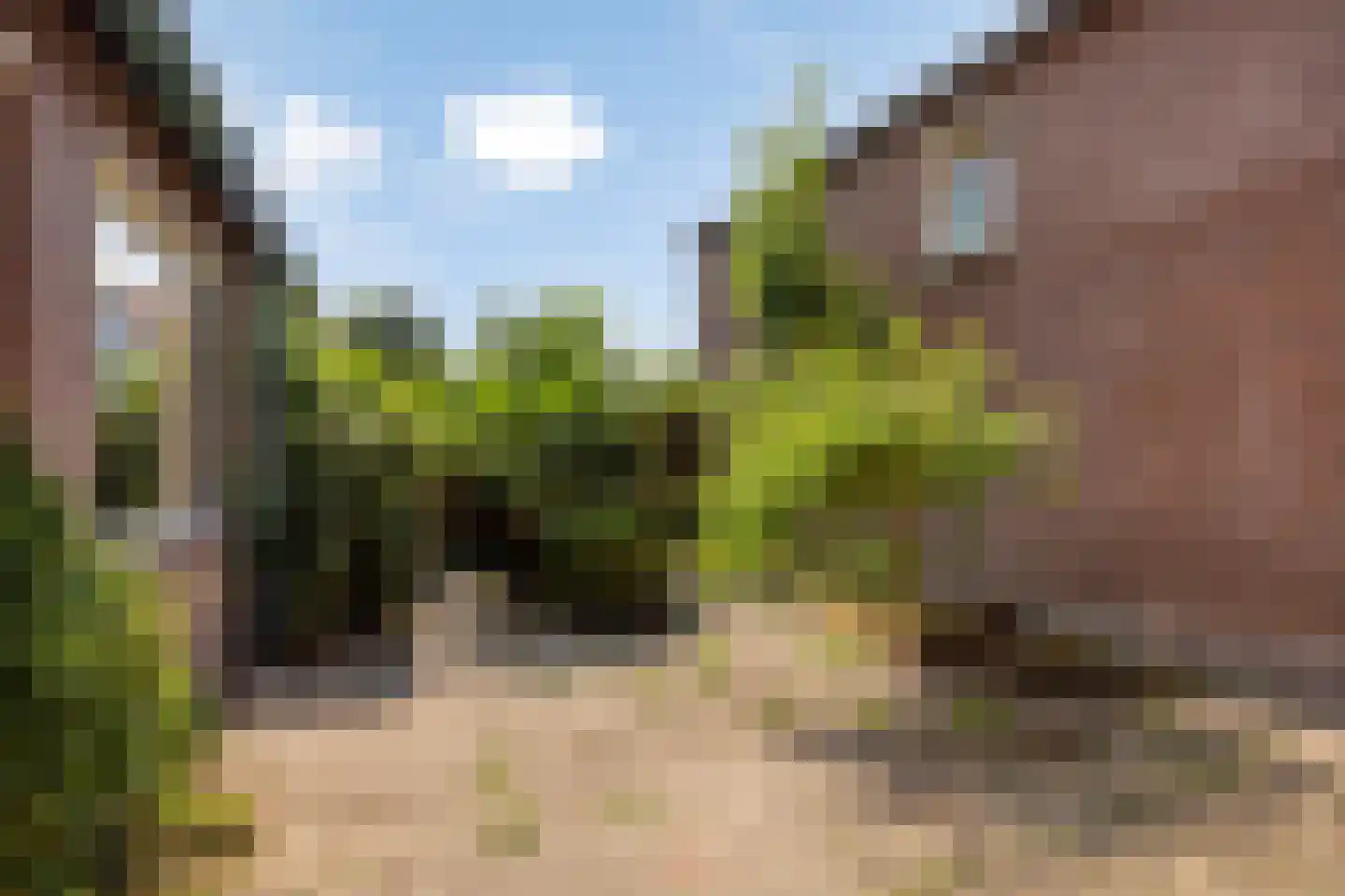 Mispelgaarde 2 Zoetermeer thumbnail 4