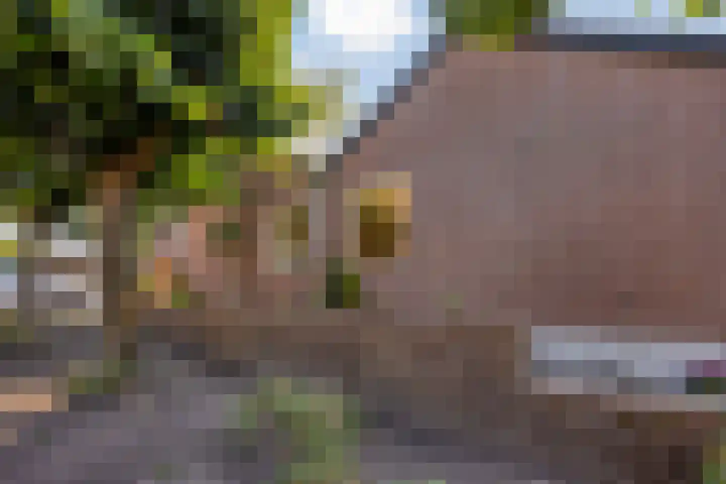 Mispelgaarde 2 Zoetermeer thumbnail 5