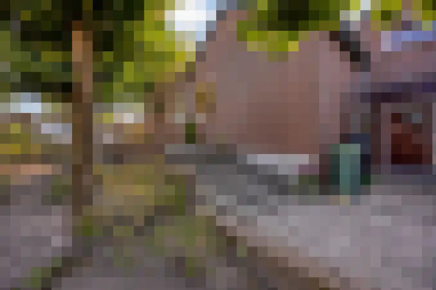 Mispelgaarde 2 Zoetermeer thumbnail 6