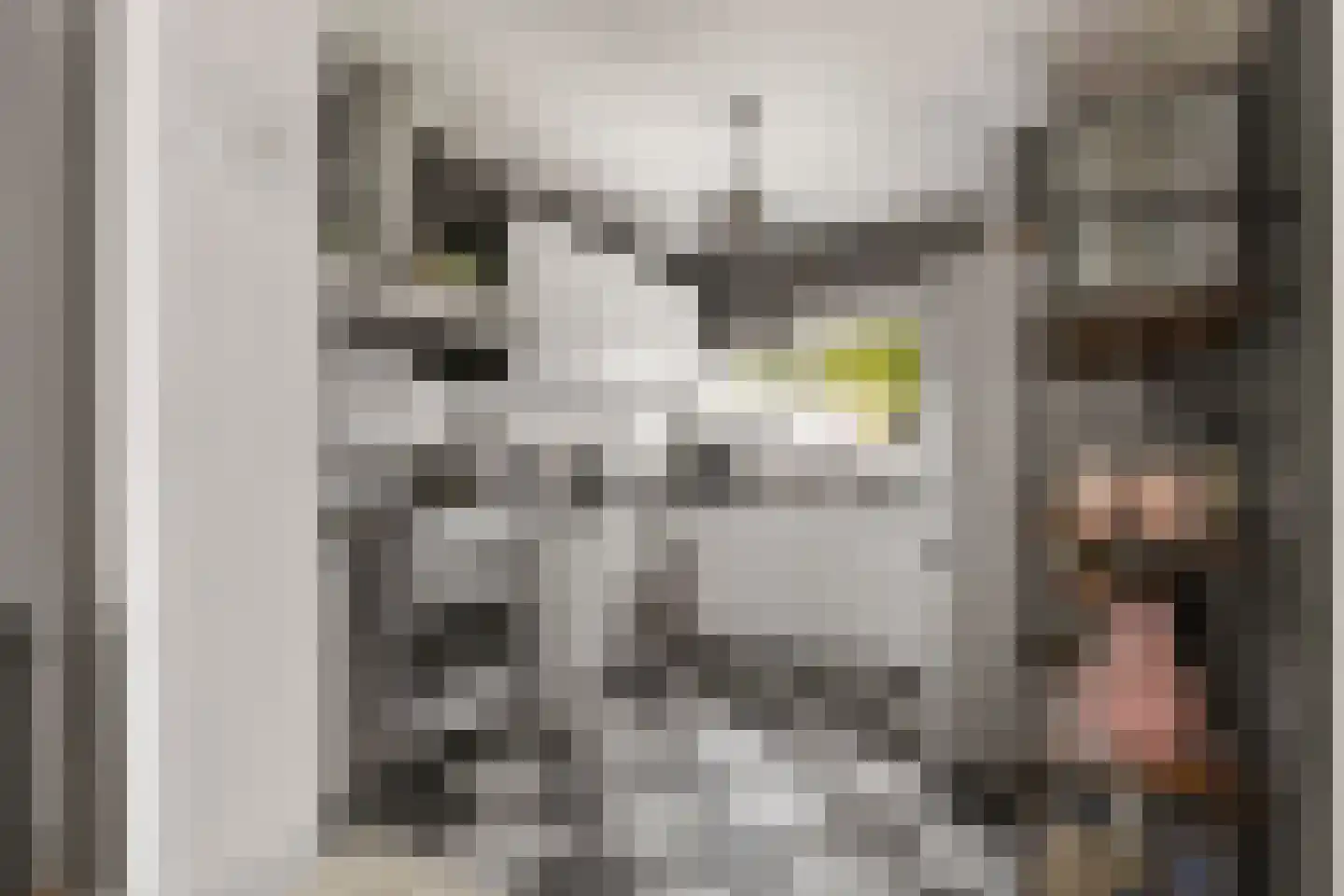 Mispelgaarde 3 Houten thumbnail 14