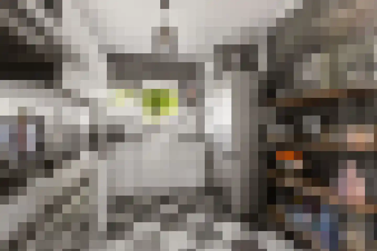 Mispelgaarde 3 Houten thumbnail 15