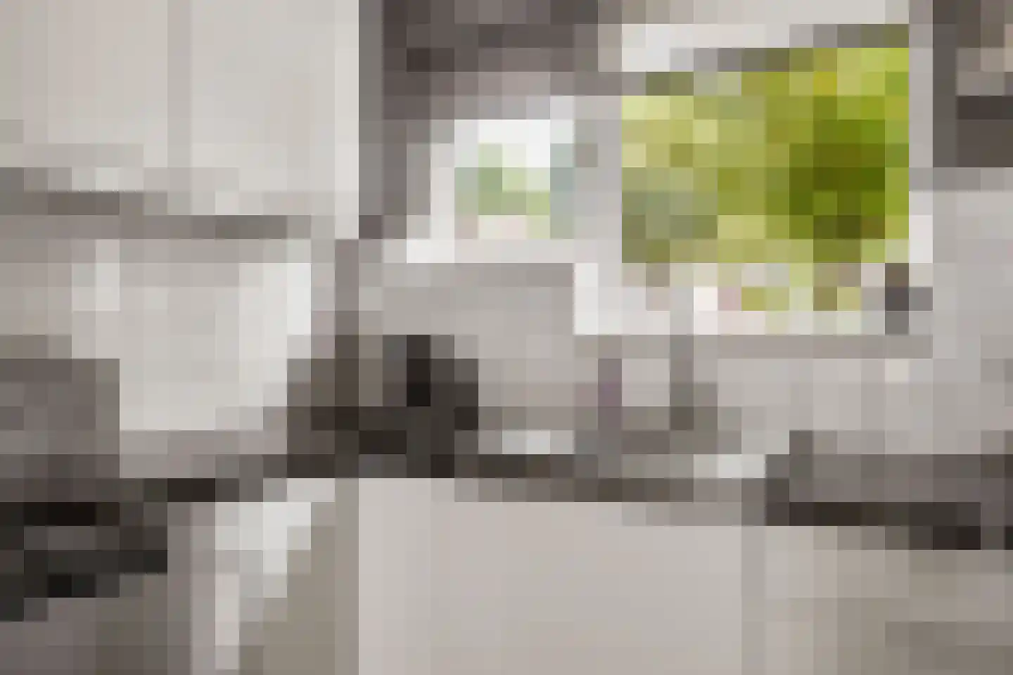 Mispelgaarde 3 Houten thumbnail 16