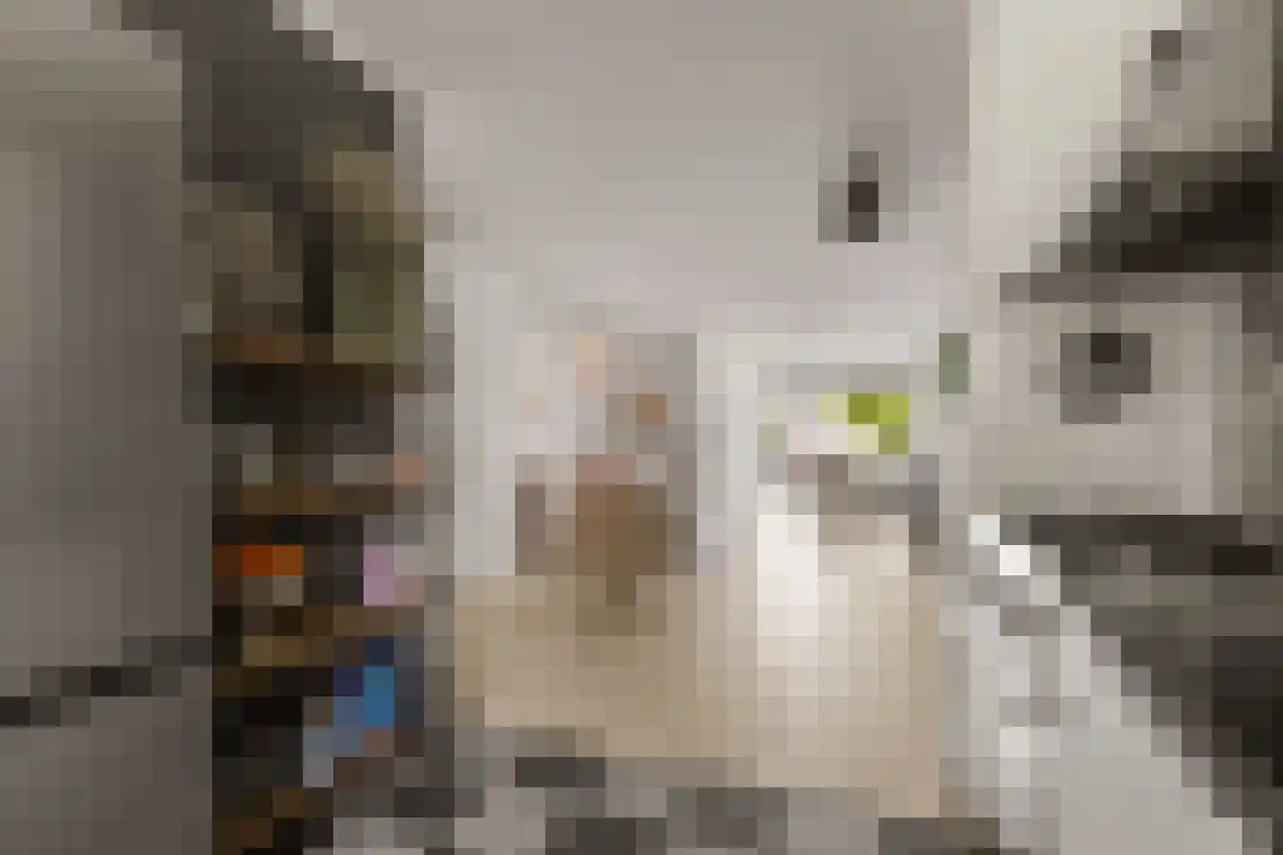 Mispelgaarde 3 Houten thumbnail 18
