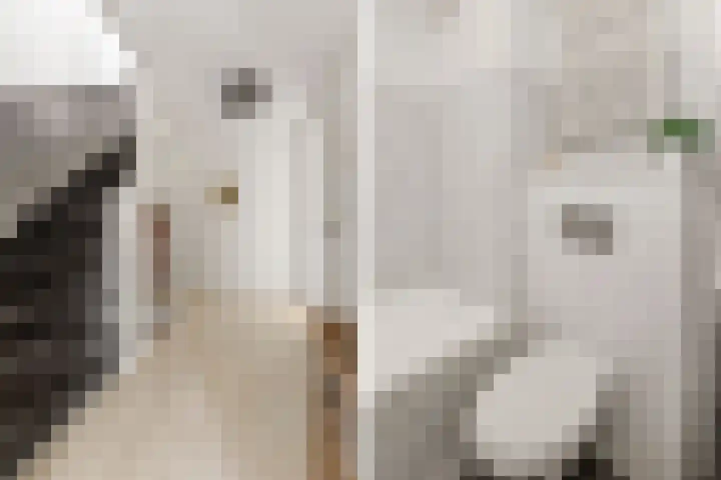 Mispelgaarde 3 Houten thumbnail 22