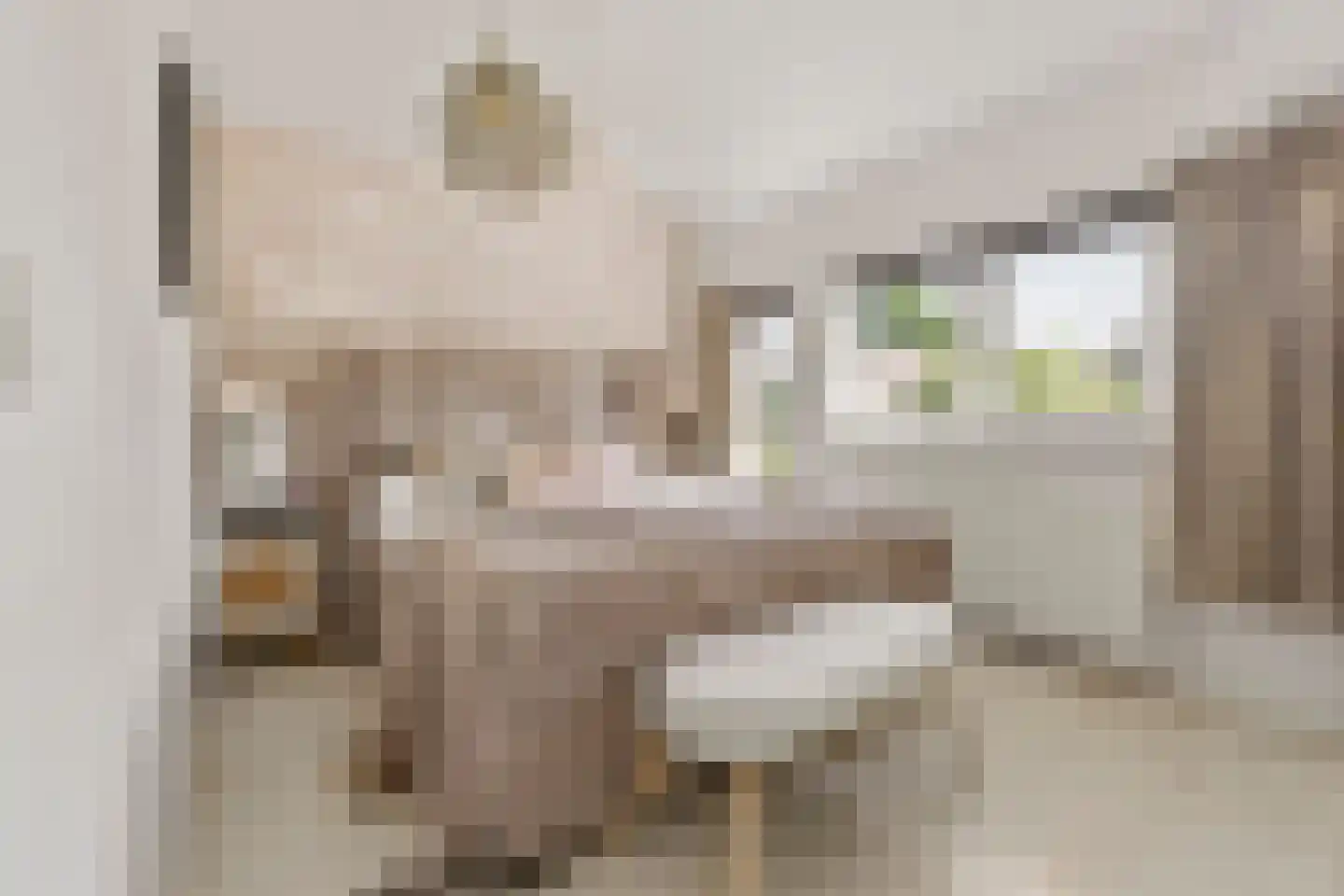 Mispelgaarde 3 Houten thumbnail 23