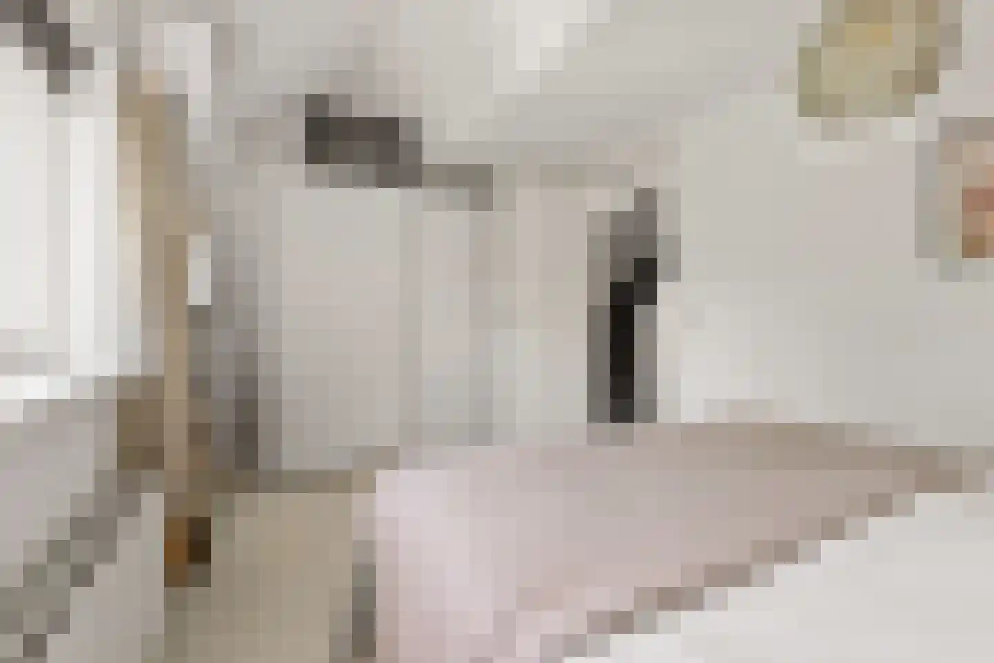 Mispelgaarde 3 Houten thumbnail 24