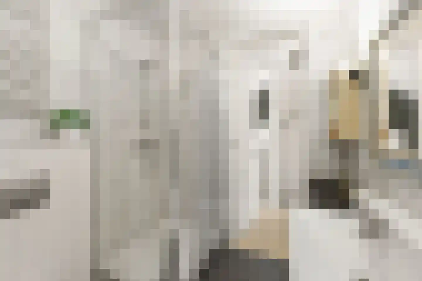 Mispelgaarde 3 Houten thumbnail 26
