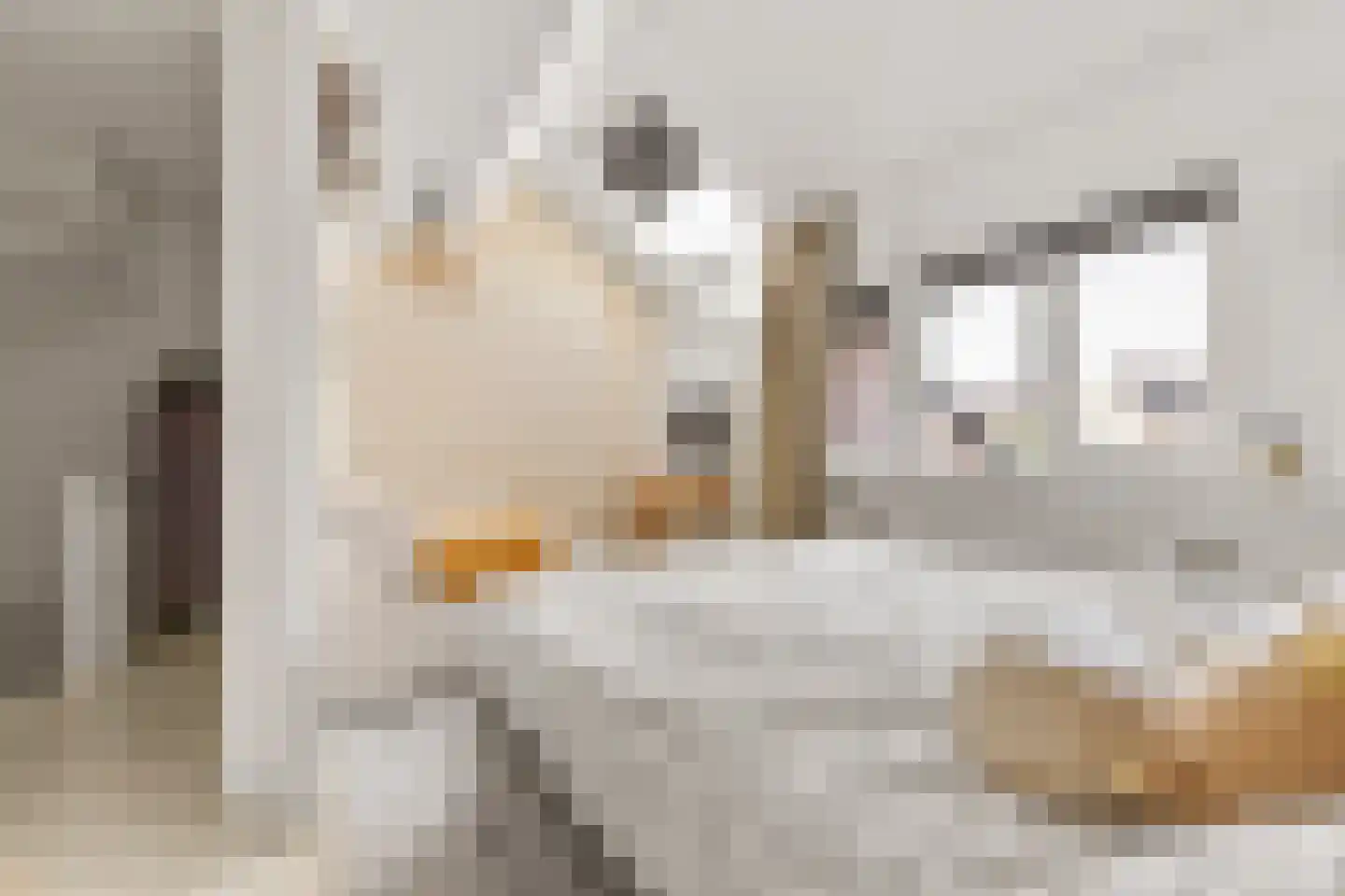 Mispelgaarde 3 Houten thumbnail 29